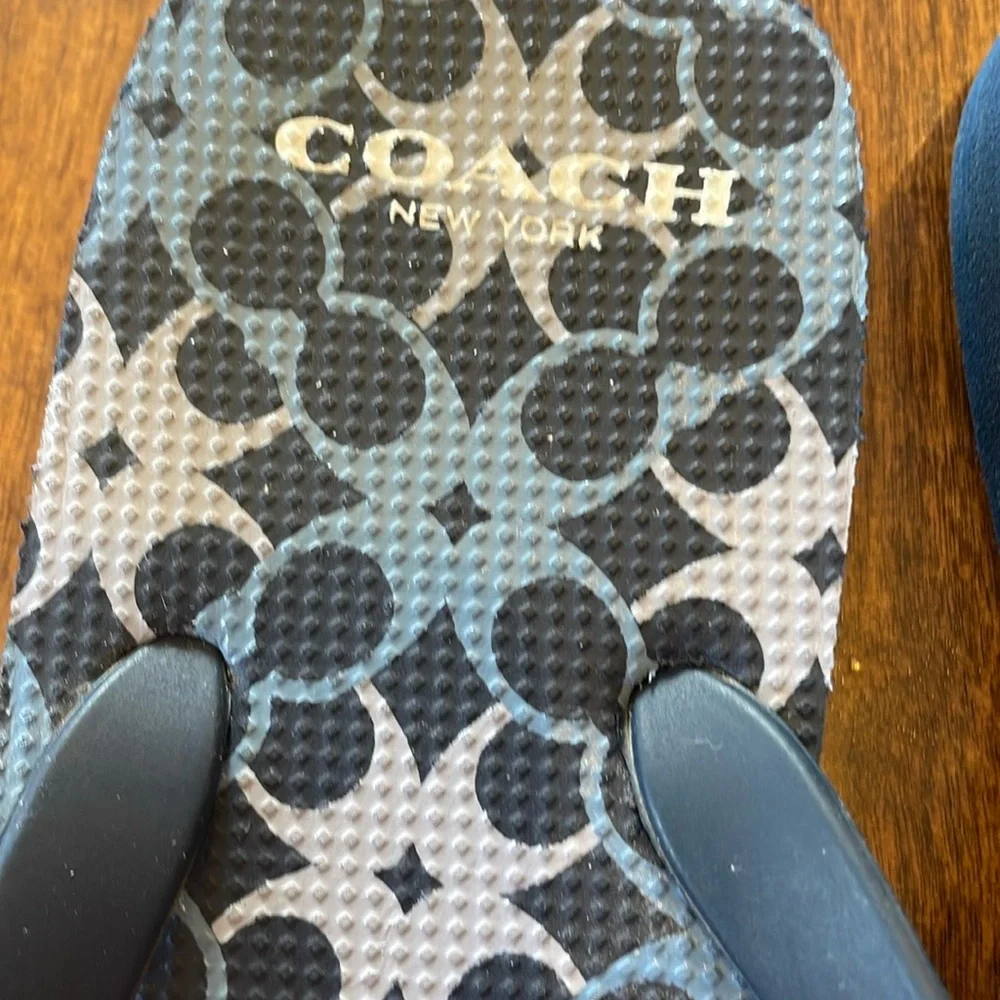 Coach Alessa Women's Patterned Blue Sandals